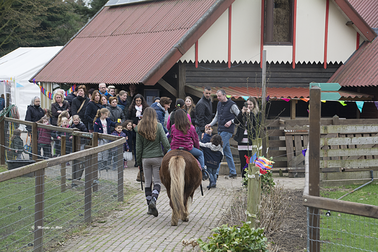 Lentefeest Rosorum groot succes