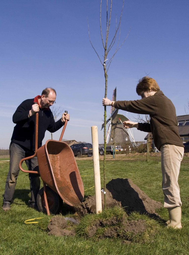 Doe mee met het beplantingsproject Stokkum in het Groen