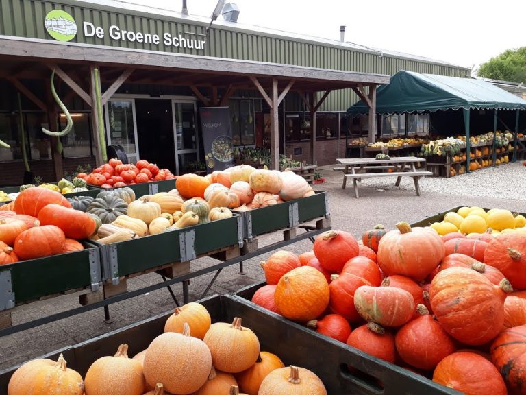 Open dag De Groene Schuur