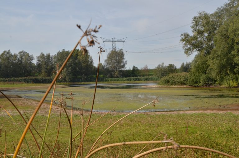 Afronding project Verbeteren Routestructuren in de Liemers