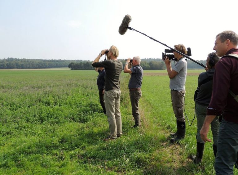 Paradijs voor de patrijs op tv bij Vroege Vogels