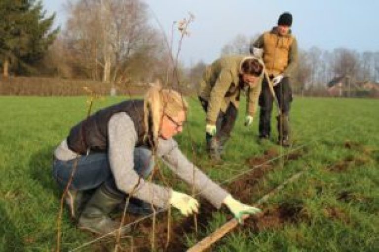 Bewoners planten streekeigen bomen en struiken in Stokkum