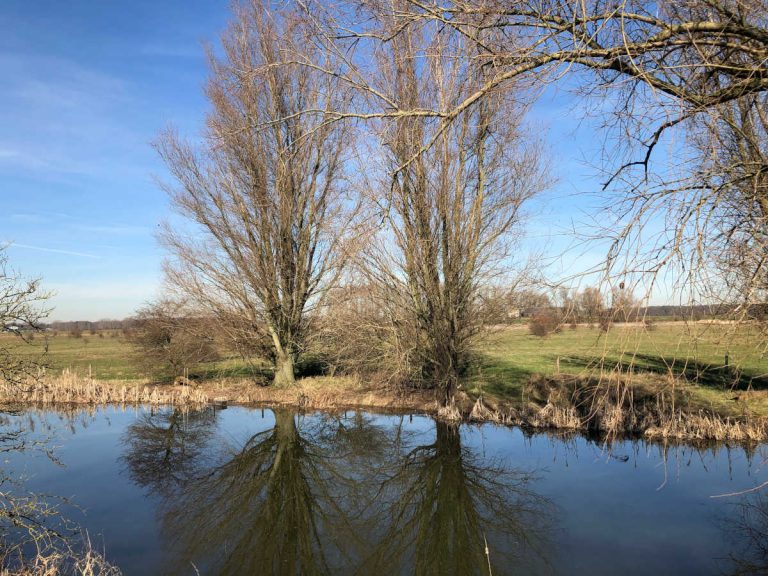 Voorjaarswandeling Erfkamerlingschap-Steenwaard