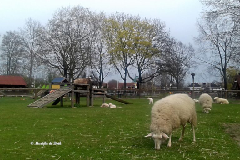 Lentefeest op kinderboerderij Rosorum