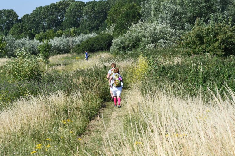 Op weg naar Liemers Posbankloop 2021