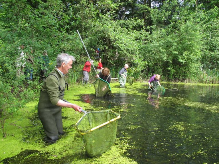 Informatieavond Biodiversiteit in de poelen in gemeente Duiven