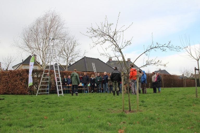 Cursus hoogstamfruit van start in Doesburg