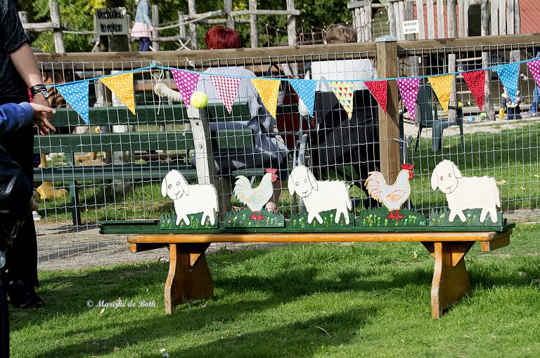 Kinderboerderij Rosorum viert Nazomerfeest