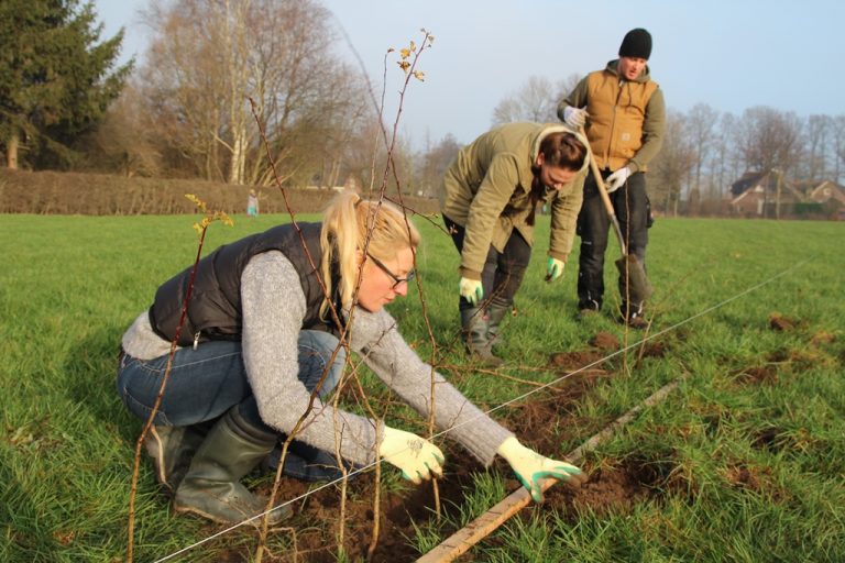 Doe mee met Stokkum in het Groen (fase 2) voor een mooier buitengebied