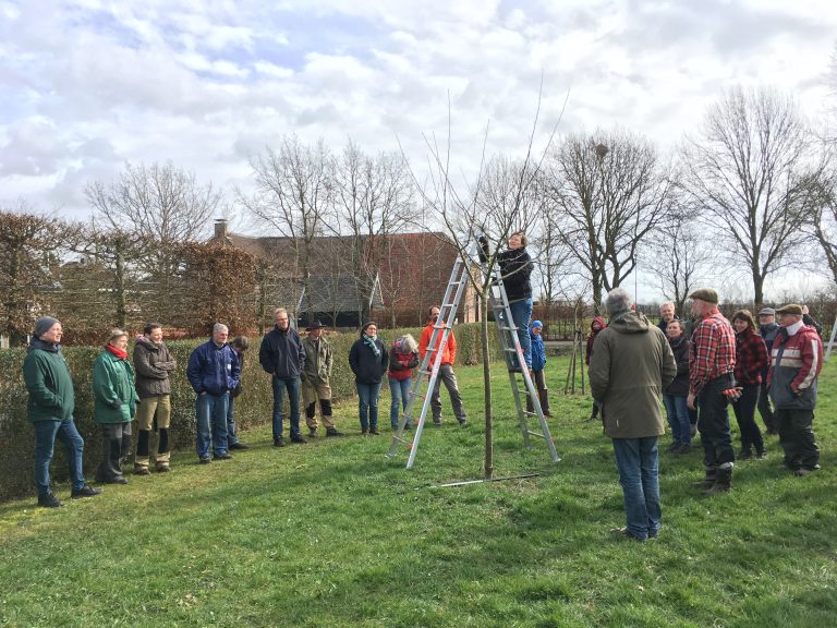 Doe mee aan de cursus ‘Alles van het landschap Herwen en Aerdt’