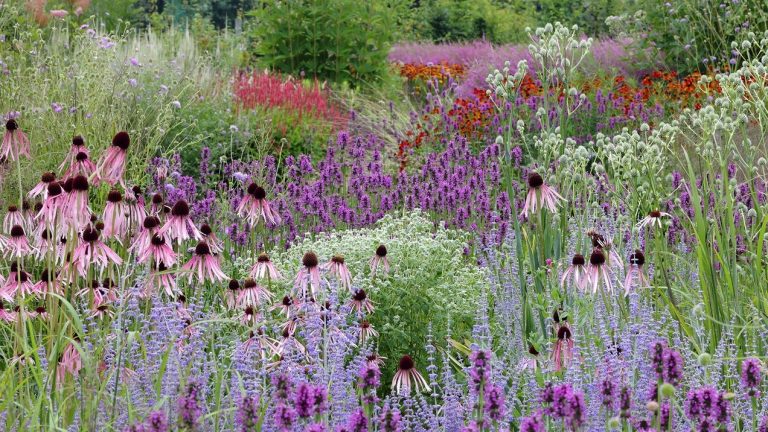 Lezing Hans van Horssen: Tuin in alle seizoenen