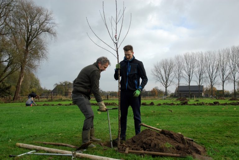 Doe mee en plant inheemse bomen en struiken op eigen terrein