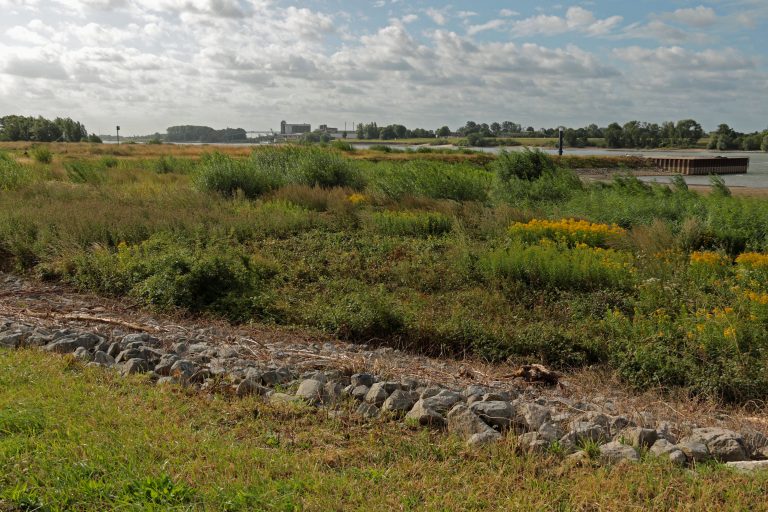 Op zoek naar de grindduinen