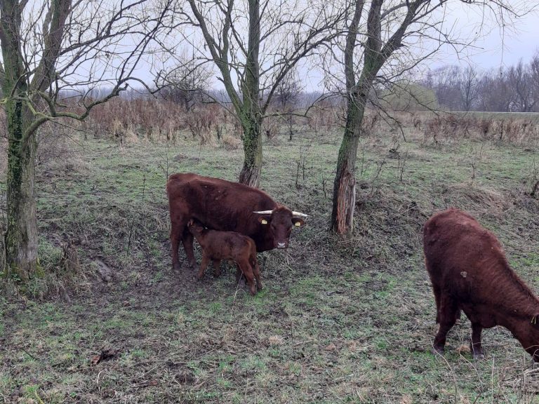 Zin in een “anders dan anders” wandeling?