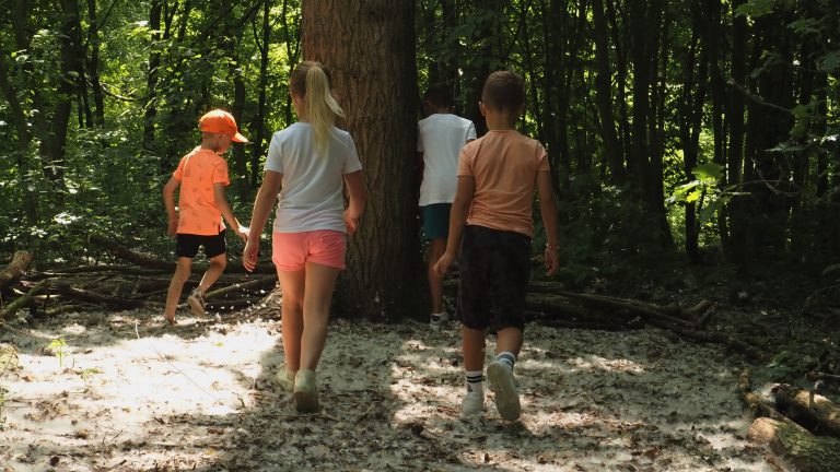 Leven er kabouters in het Horsterpark?