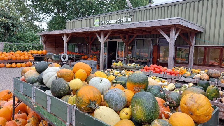 Halloween-festijn bij De Groene Schuur