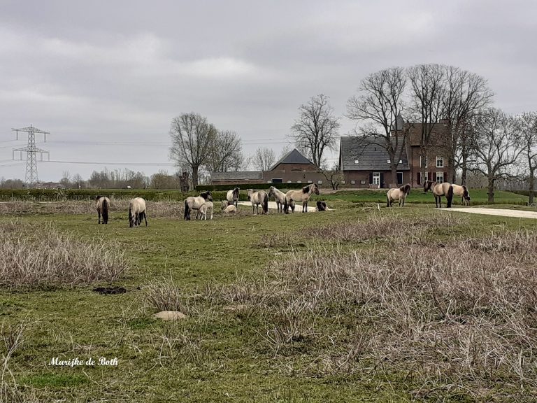 Excursie in de Loowaard bij Loo