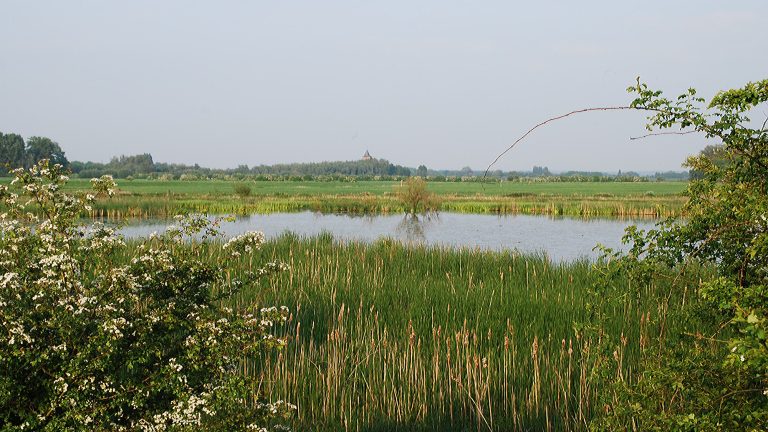 Lezing Rondje Rosandse polder