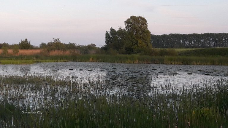 Avondwandeling Rosandse polder