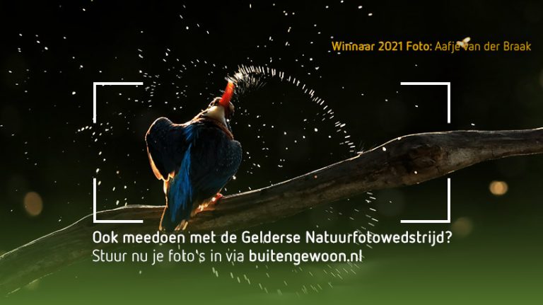 Gelderse Natuurfotowedstrijd 2022 gaat van start!