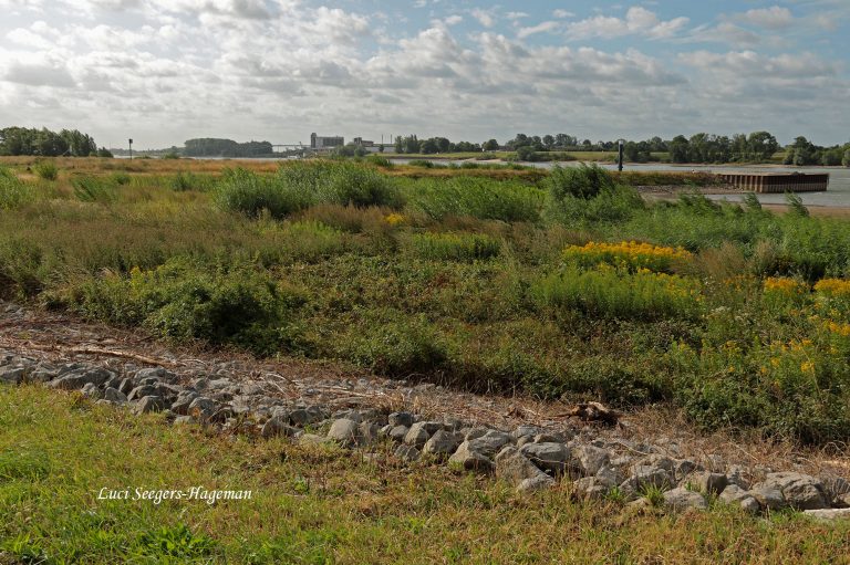 Op zoek naar de grindduinen