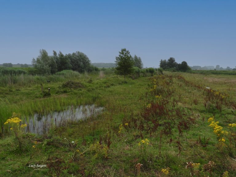 Excursie door de Kleine Gelderse Waard