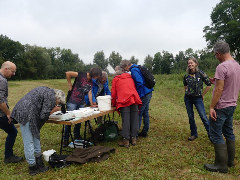 IVN Natuurcursus 2022