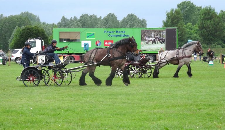 Power Horse terug in Duiven!