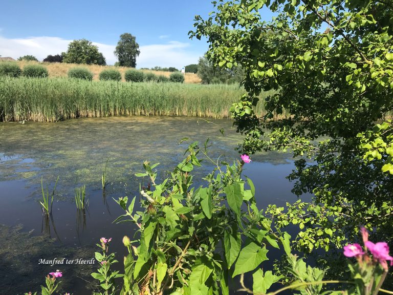 Excursie achter de dijk