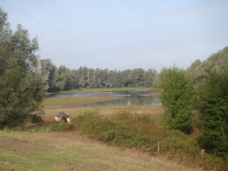 Pittige struintocht Lobberdense Waard