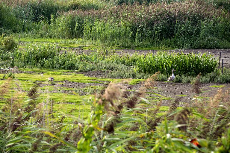 Fietstocht door ’t Liemerse land