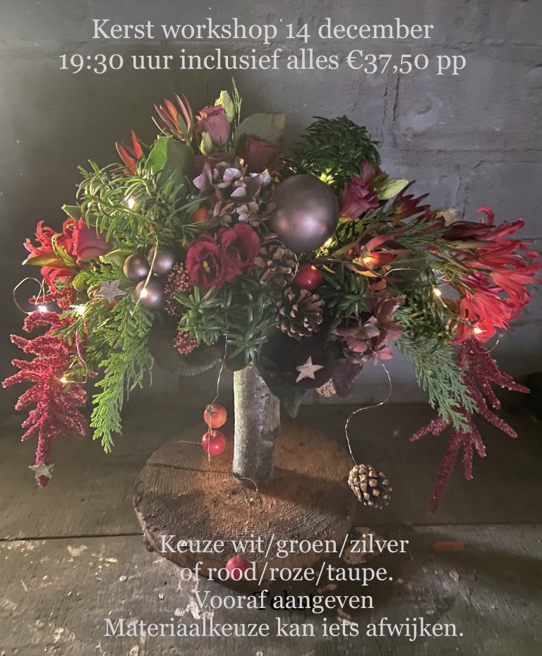 Kerstworkshop; organisatie in handen van Groei & Bloei afd. Liemers