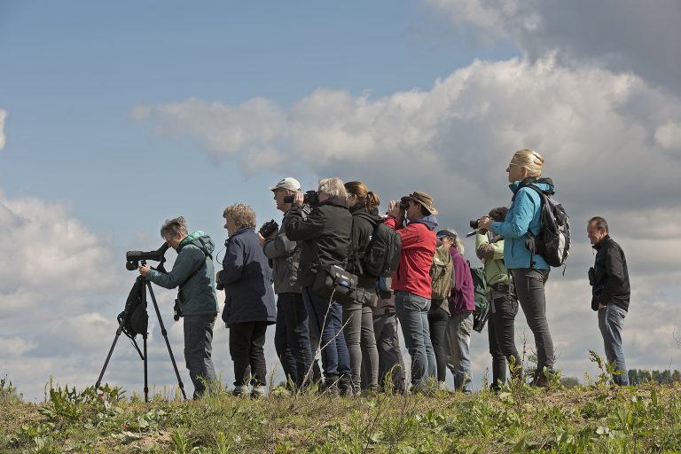 Vanaf half februari organiseert de Vogelwerkgroep van IVN De Oude IJsselstreek een cursus voor beginnende vogelaars.