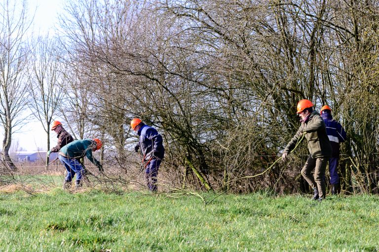 Buitenwerkochtend op biologische melkveehouderij De Klaver