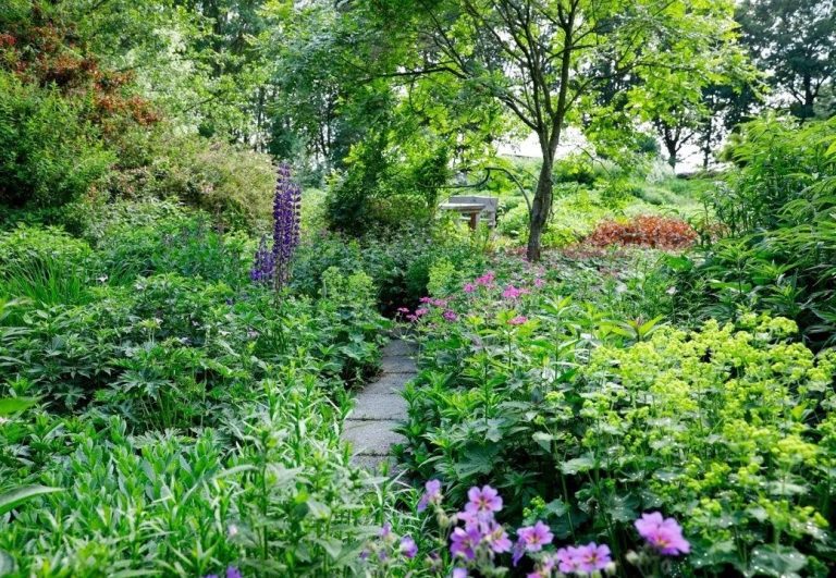 Wie doet er mee met het Open Tuinenweekend in de Liemers?