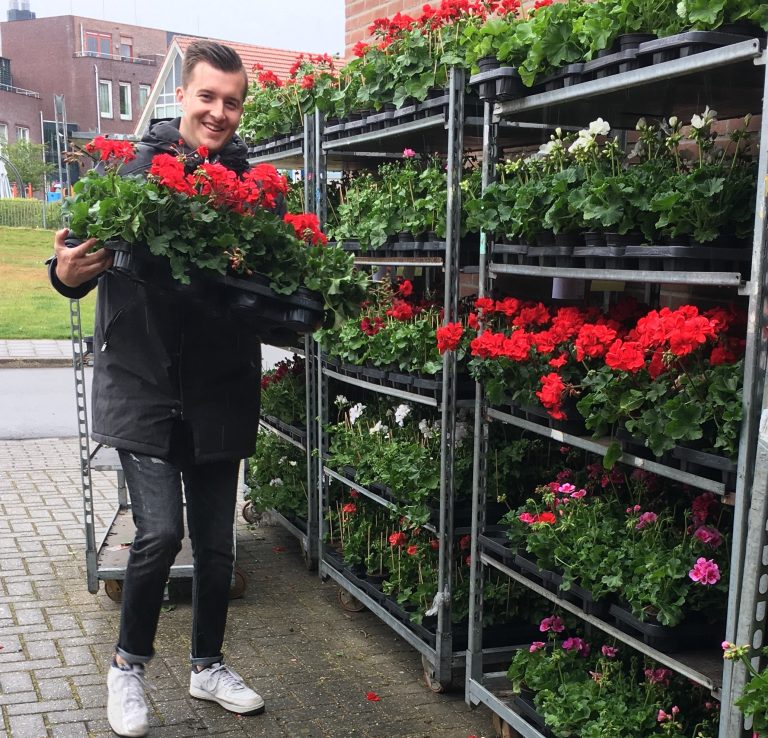 Bloemenverkoop Harmonie Wilhelmina Pannerden