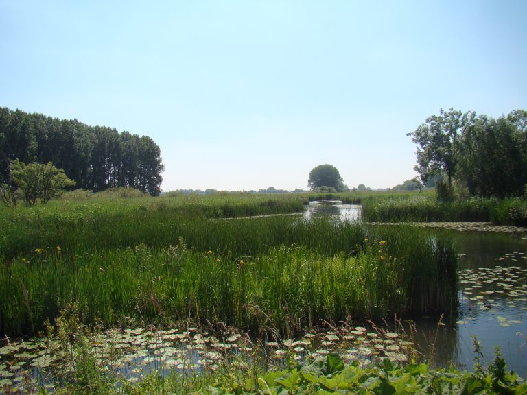 Gelderse Poort Wandeltocht