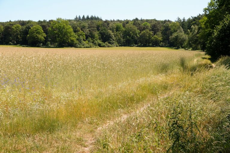 Kleine Beekermarkwandeling