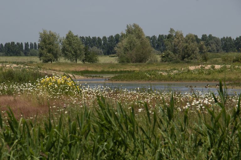 Excursie door de Kleine Gelderse Waard