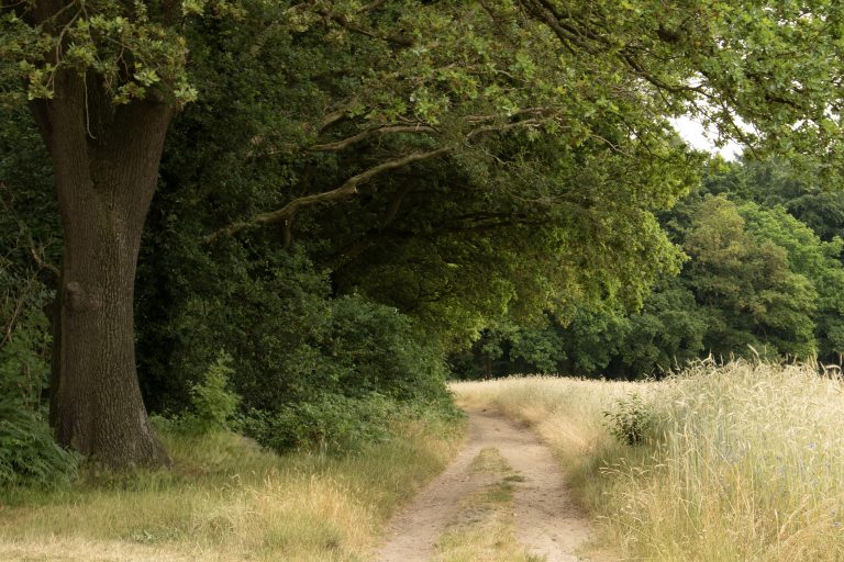 Wandeling bij ‘t Peeske