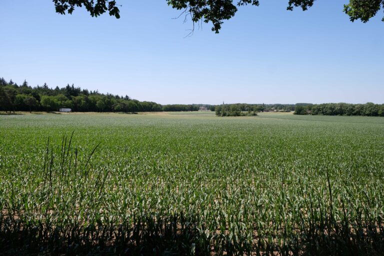 Klein Beekermarkwandeling op 8 september