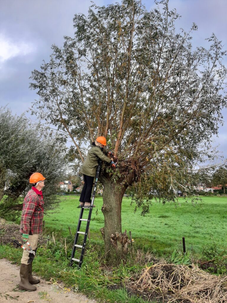 Samen aan de slag tijdens de Nationale Natuurwerkdagen